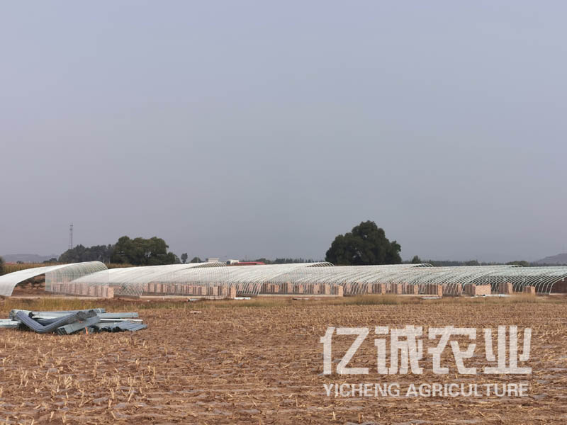 一畝溫室大棚造價多少錢？溫室建設(shè)成本
