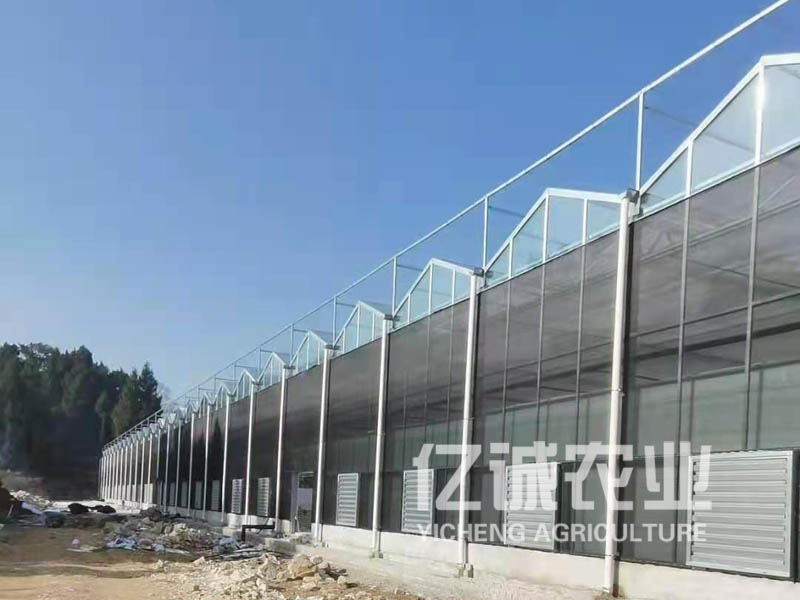 建溫室大棚需要多少錢？連棟溫室工程造價
