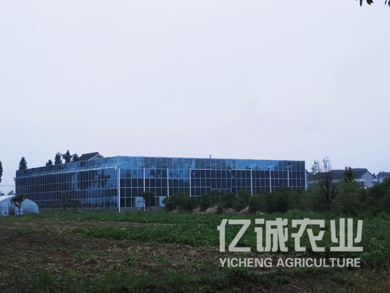 智能溫室大棚遇到大風該怎么加固？