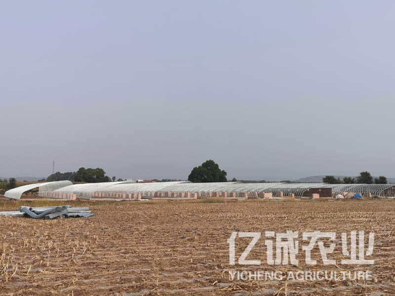 智能日光溫室大棚室內可利用空間大，造價低，使用方便，通風效果好
