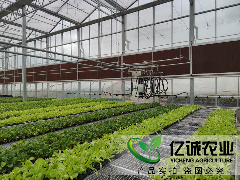 現(xiàn)代化智能溫室大棚如何建造？智能化連棟溫室大棚多少錢一個(gè)平方？