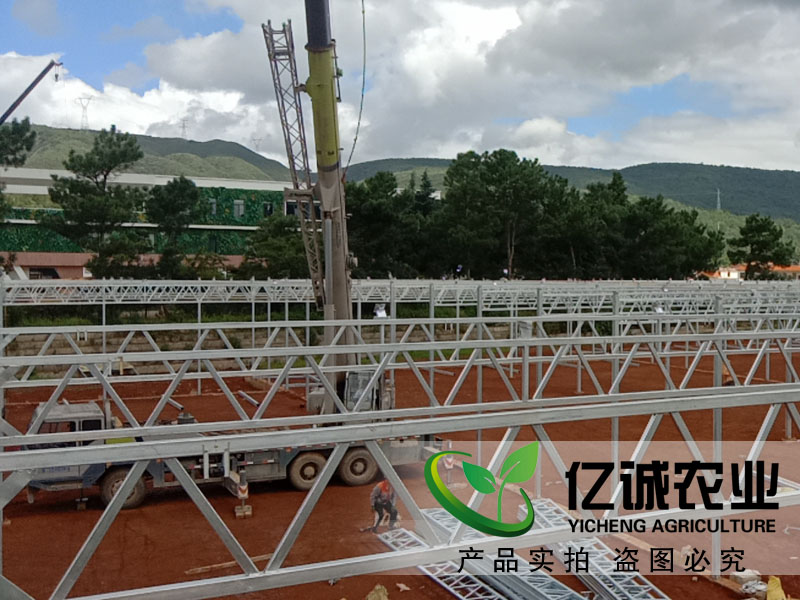 建一畝地溫室大棚多錢？