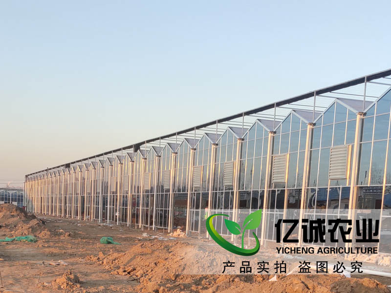 建一畝地溫室大棚多錢？用什么材料比較好？