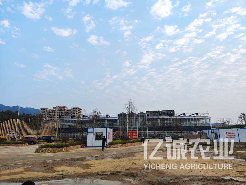現(xiàn)代化連棟溫室大棚建設(shè)有補貼嗎？連溫室大棚造價多少一畝