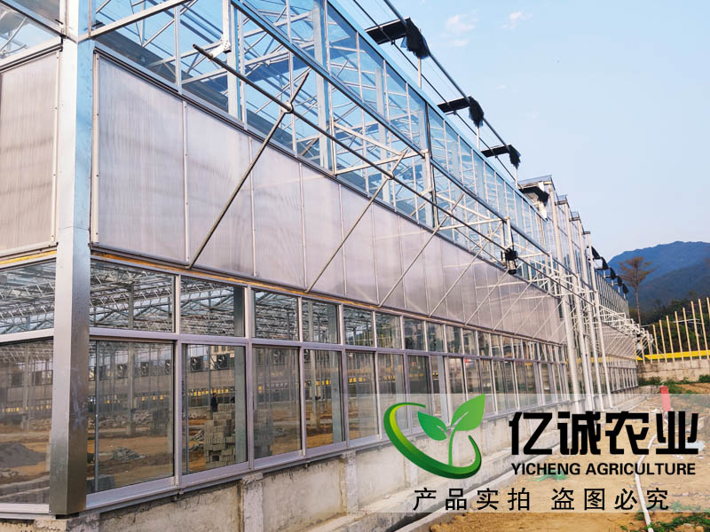 玻璃溫室大棚造價多少錢一畝？玻璃連棟溫室大棚價格高不高？