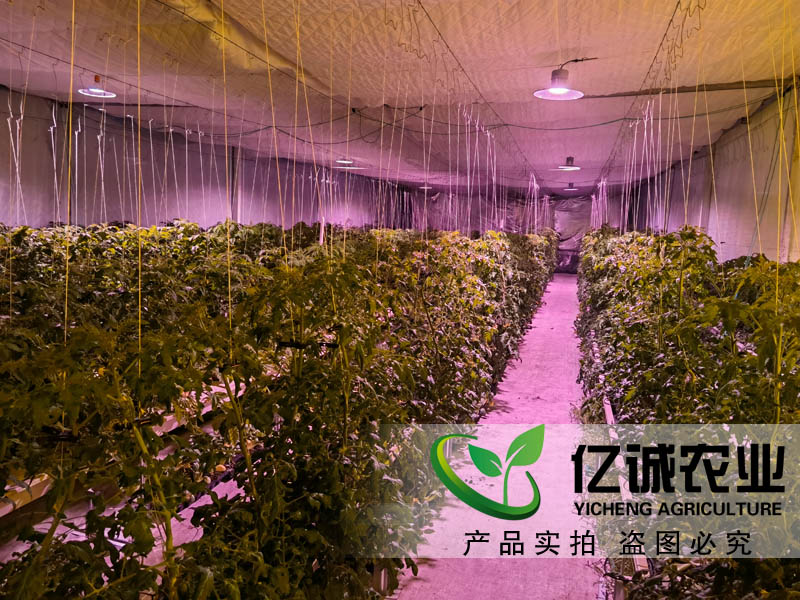 蔬菜大棚造價是如何計算的？
